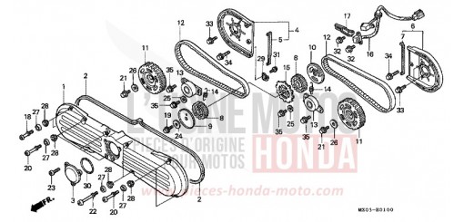 FRONT PROTECTOR/TIMING BELT GL1500CW de 1998